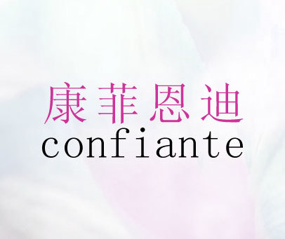 康菲恩迪 CONFIANTE