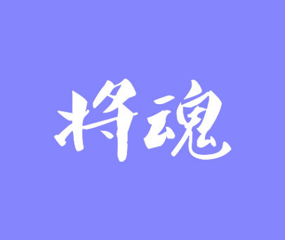 将魂