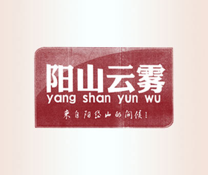 阳山云雾 来自阳岱山的问候 YANG SHAN YUN WU