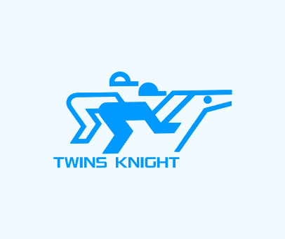 TWINS KNIGHT