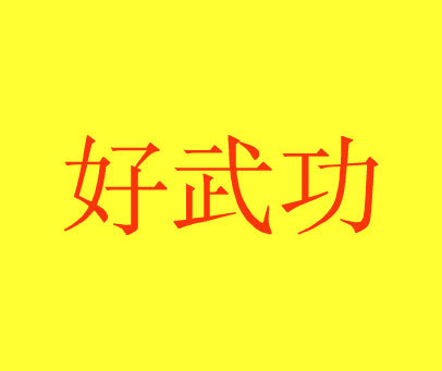 好武功