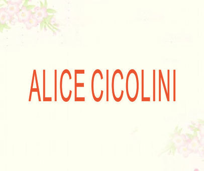 ALICE CICOLINI