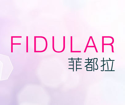 菲都拉 FIDULAR