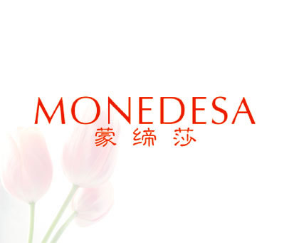 蒙缔莎 MONEDESA