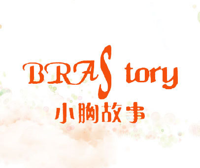 小胸故事 BRA STORY