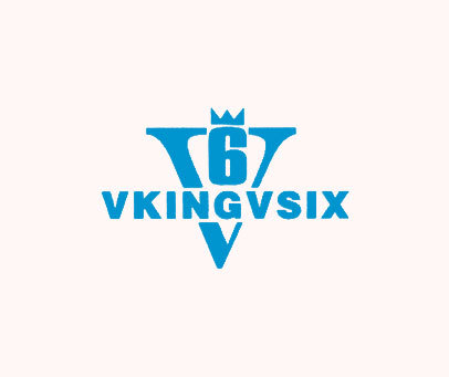 VKINGVSIX V 6