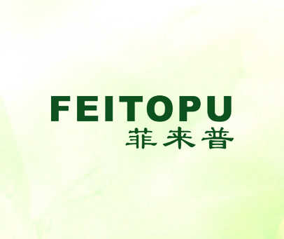 菲来普 FEITOPU