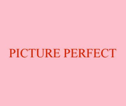 PICTURE PERFECT