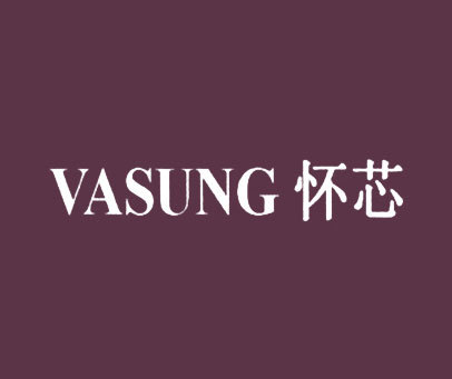 怀芯 VASUNG