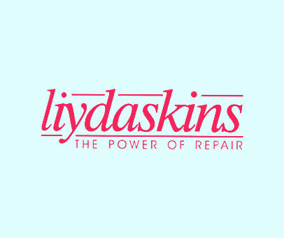 LIYDASKINS THE POWER OF REPAIR