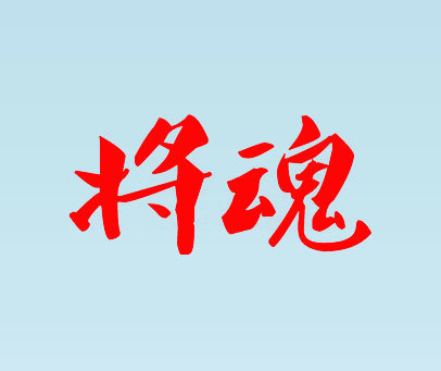 将魂