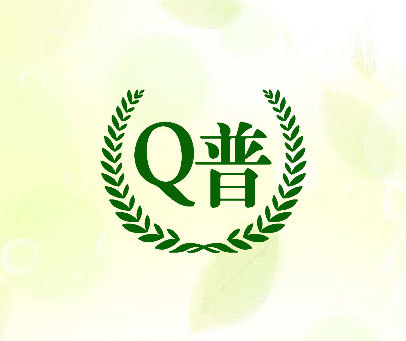 Q普