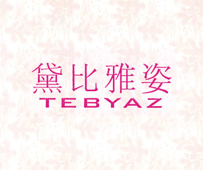 黛比雅姿 TEBYAZ