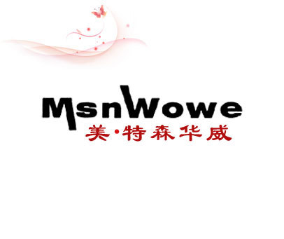 美特森华威 MSNWOWE