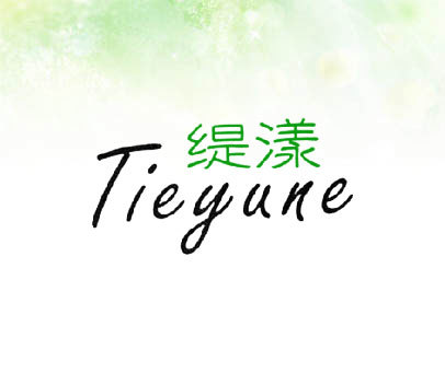 缇漾 TIEYUNE