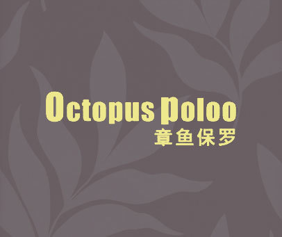 章鱼保罗 OCTOPUS POLOO