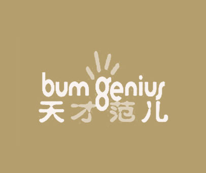 天才范儿 BUM GENIUS