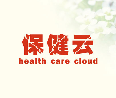 保健云  HEALTH CARE CLOUD