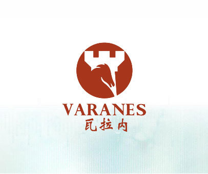 瓦拉内 VARANE