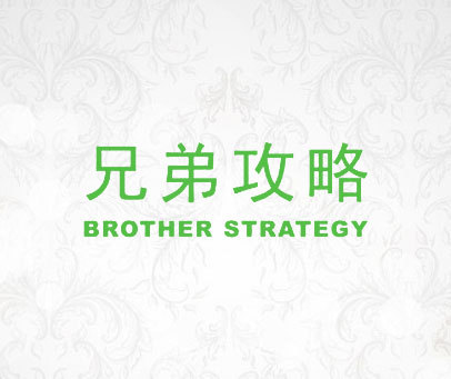 兄弟攻略 BROTHER STRATEGY