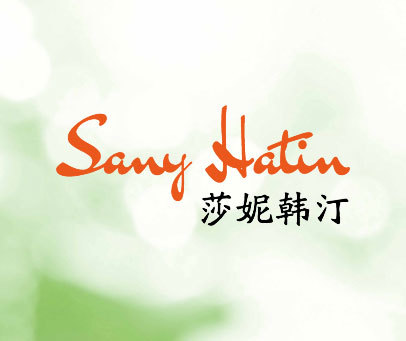 莎妮韩汀 SANY HATIN