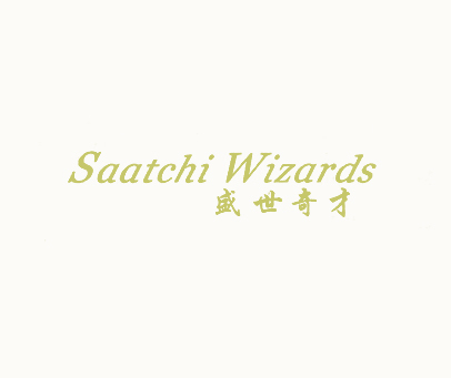 盛世奇才 SAATCHI WIZARDS