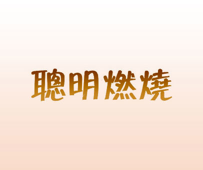 聪明燃烧