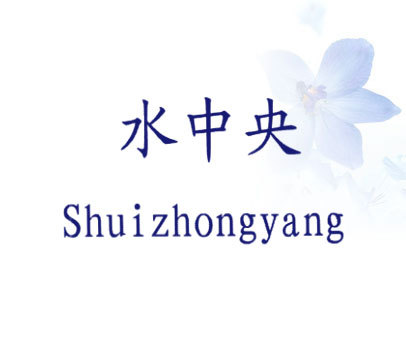 水中央
