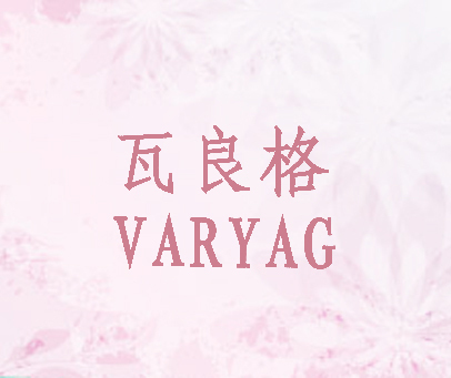 瓦良格 VARYAG