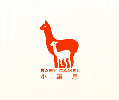 小骆马 BABY CAMEL