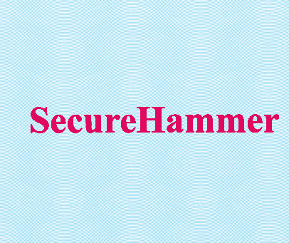 SECURE HAMMER