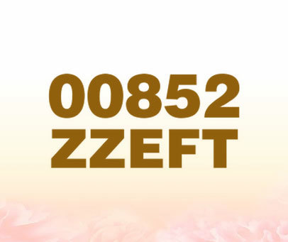 00852 ZZEFT