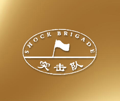 突击队;SHOCK BRIGADE