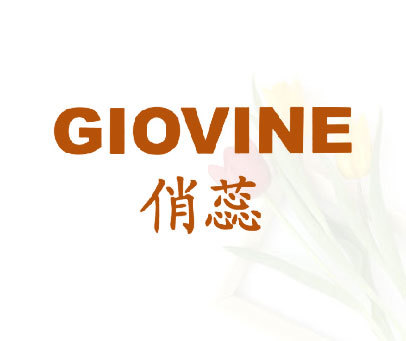 俏蕊 GIOVINE