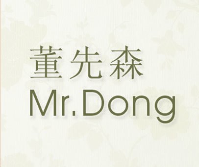 董先森 MR.DONG