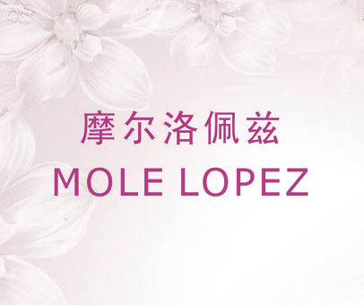 摩尔洛佩兹 MOLE LOPEZ