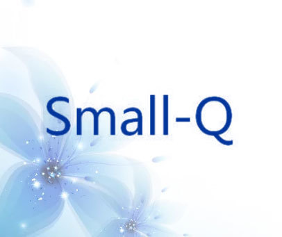 SMALL-Q