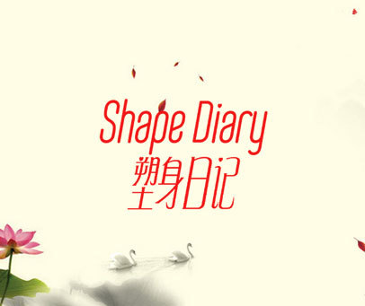 塑身日记 SHAPE DIARY