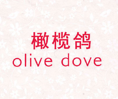 橄榄鸽 OLIVE DOVE