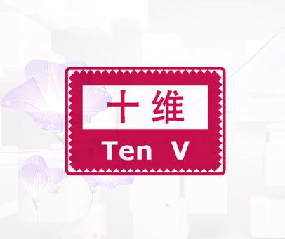 十维  TEN V