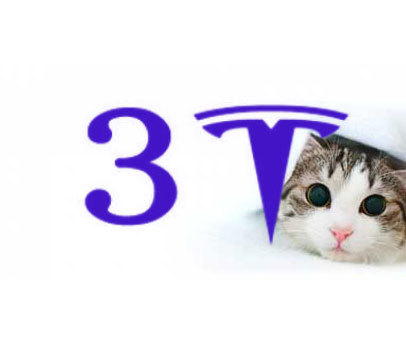 3 T