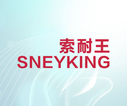 索耐王 SNEYKING