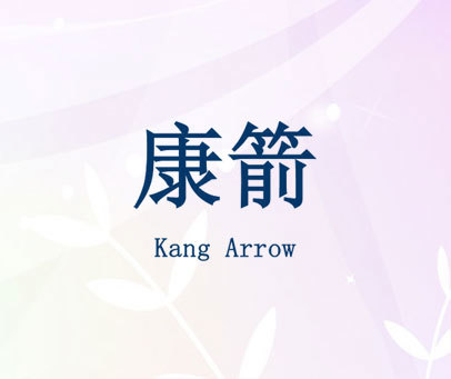 康箭 KANG ARROW