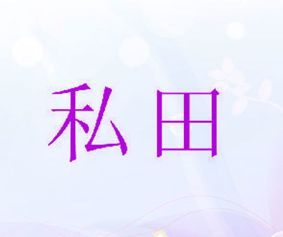 私田