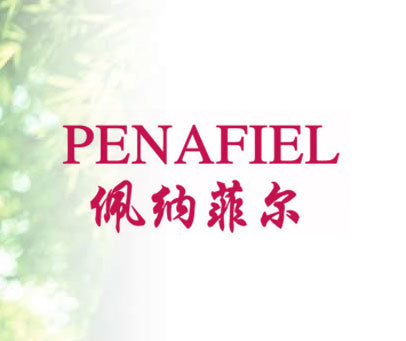 佩纳菲尔 PENAFIEL