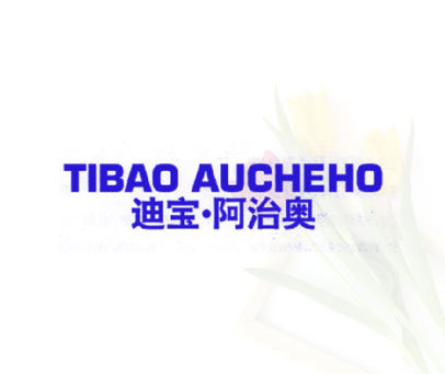 迪宝·阿治奥 TIBAO AUCHEHO