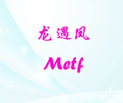 龙遇凤 METF