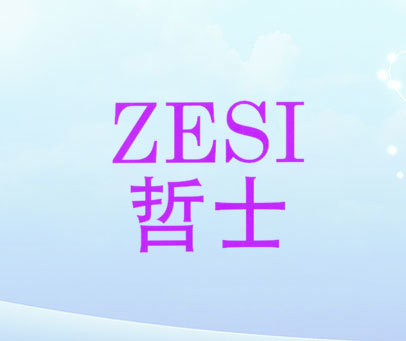 哲士 ZESI