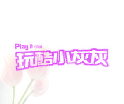 玩酷小灰灰  PLAY IT COOL