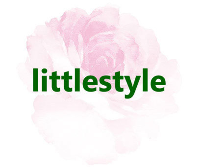 LITTLESTYLE